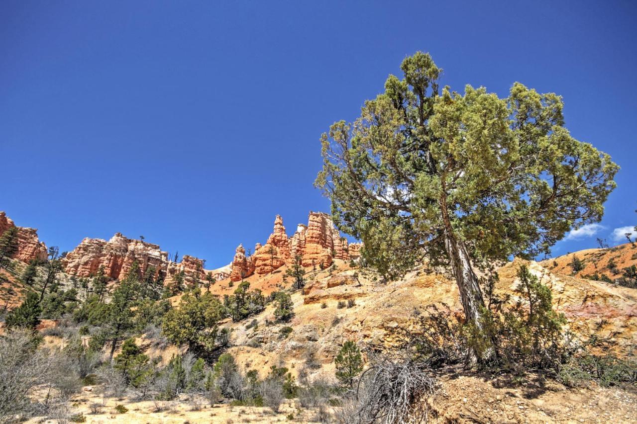 Bryce Canyon Area House With Mountain Views! 트로픽 외부 사진